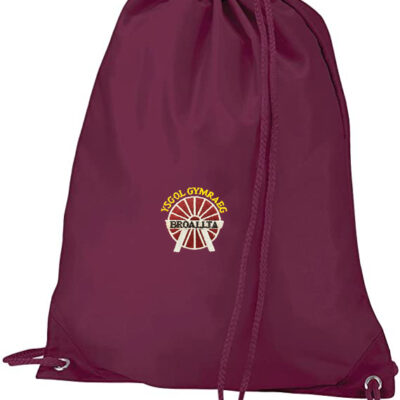 Ysgol Gymraeg Bro Allta-Gymsac