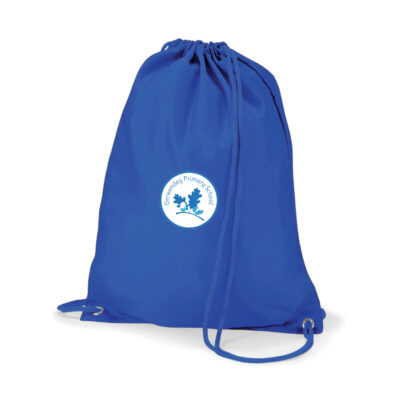Derwendeg Primary - Gymsac